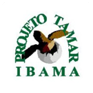 Projeto Tamar Ibama